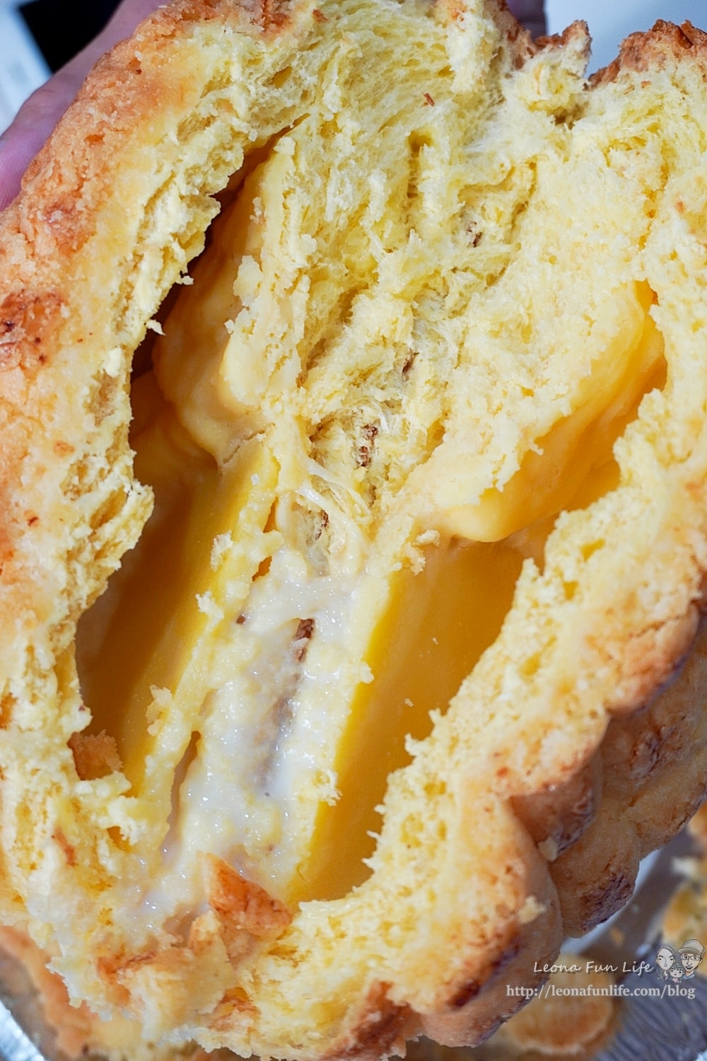 20251027_-293 20251027_-293