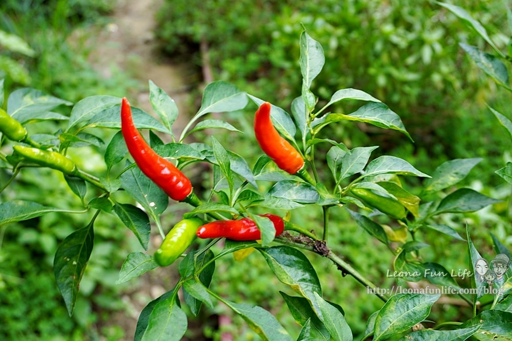 20251027_-343 20251027_-343