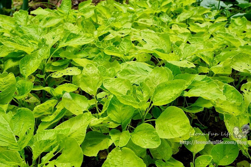 20251027_-344 20251027_-344