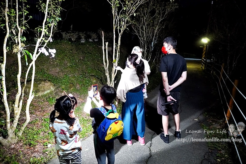 20251027_-377 20251027_-377