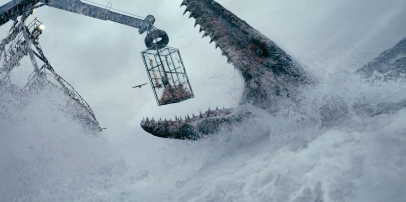 20251027_-387 20251027_-387