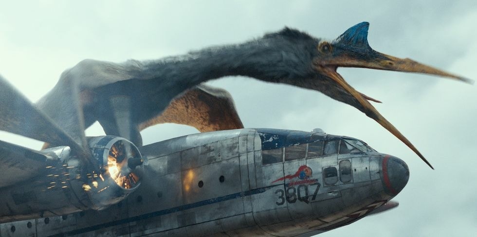 20251027_-401 20251027_-401