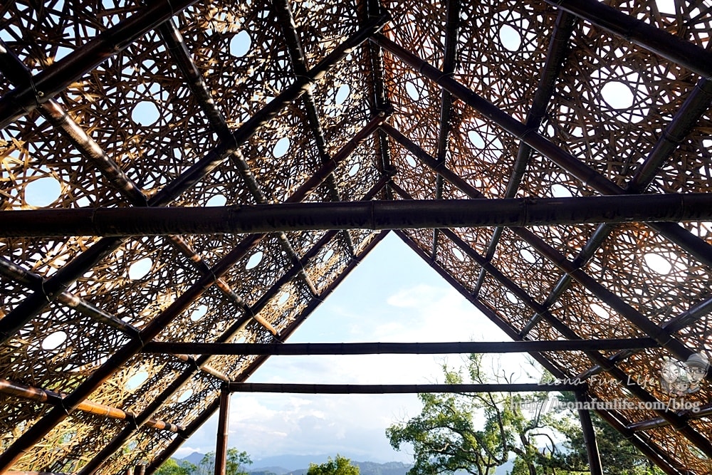 20251027_-453 20251027_-453