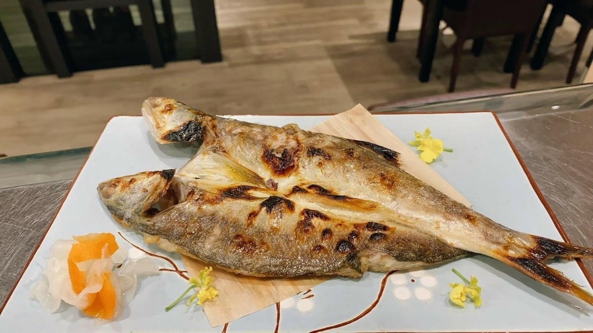 20251027_-387 20251027_-387