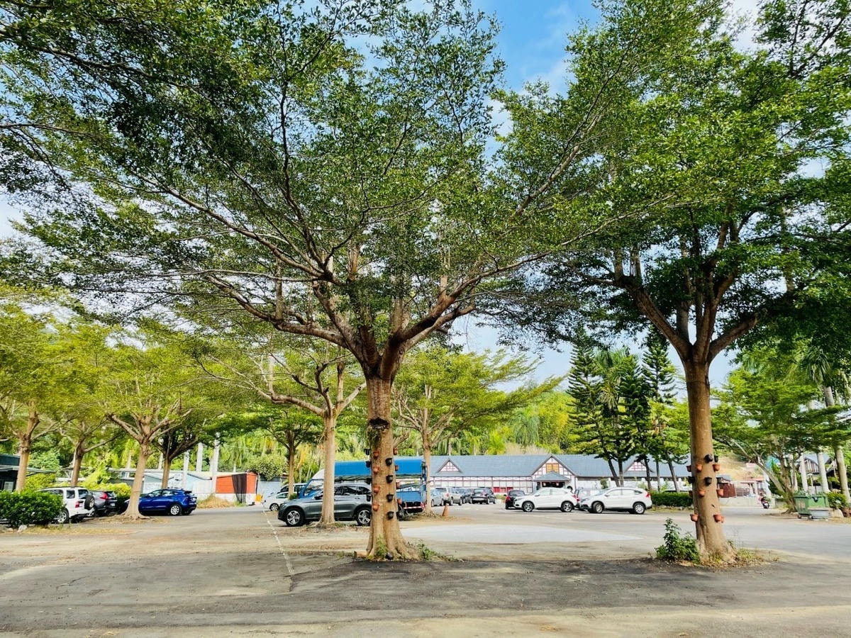 20251027_-163 20251027_-163