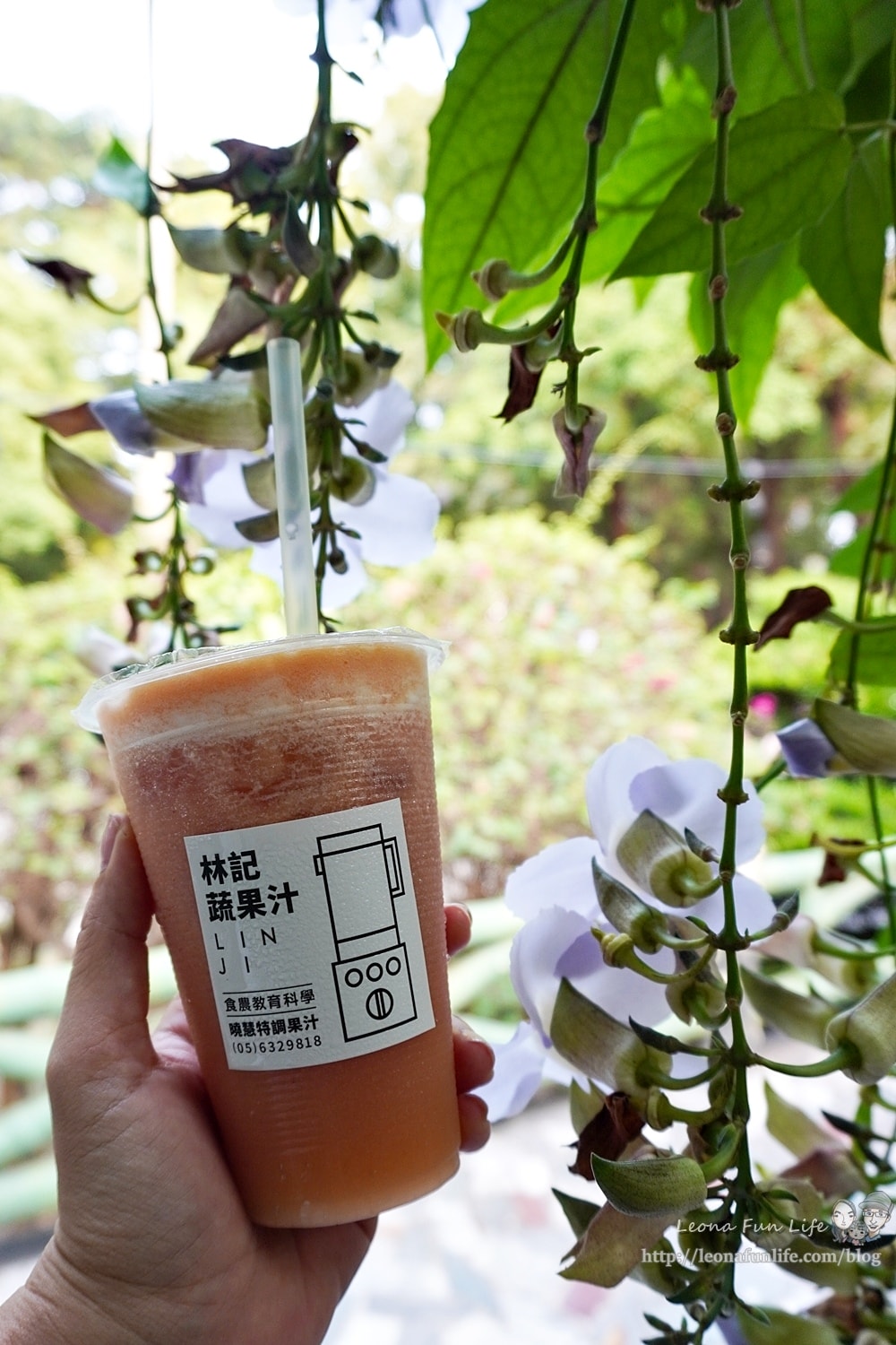 20251027_-175 20251027_-175