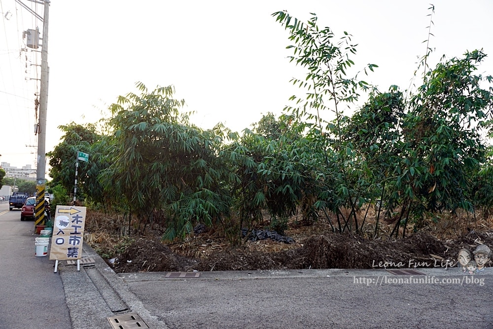 20251027_-164 20251027_-164