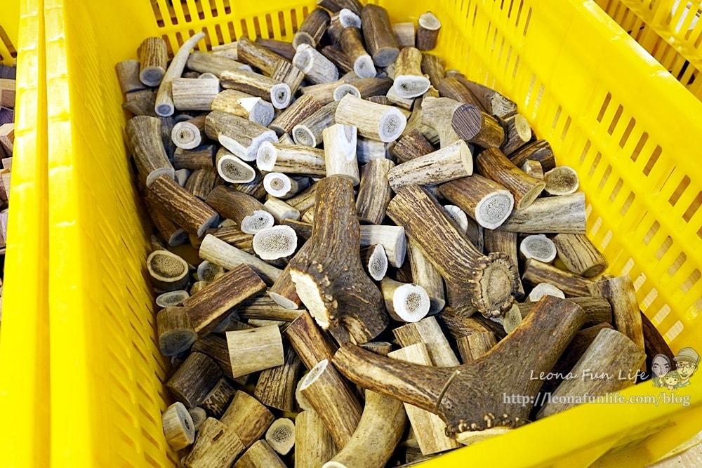 20251027_-203 20251027_-203