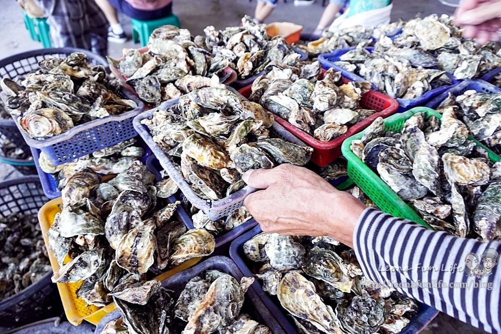 20251027_-415 20251027_-415