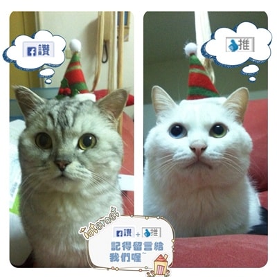 20251027_-499 20251027_-499