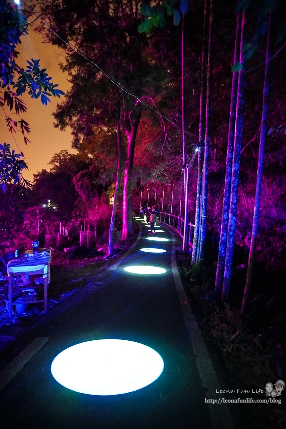 20251027_-524 20251027_-524