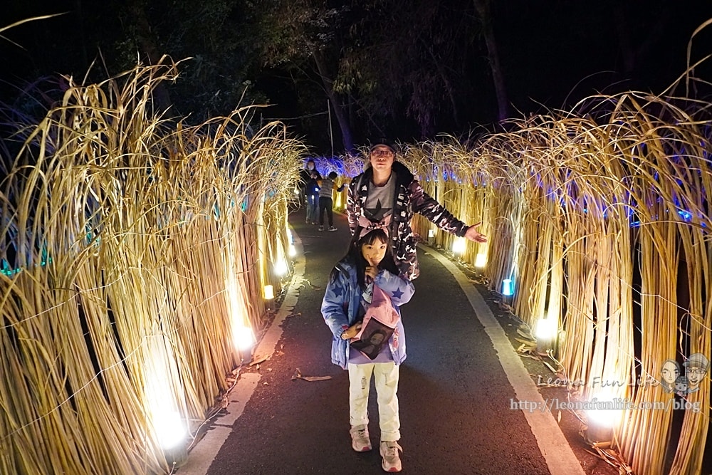 20251027_-526 20251027_-526