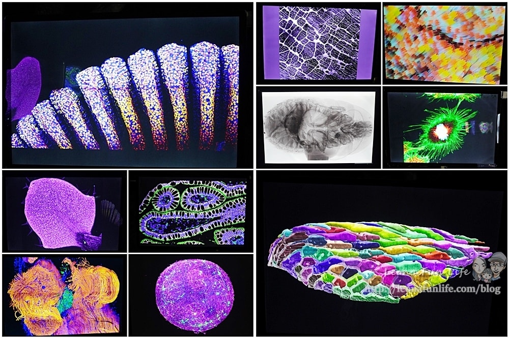 20251027_-534 20251027_-534