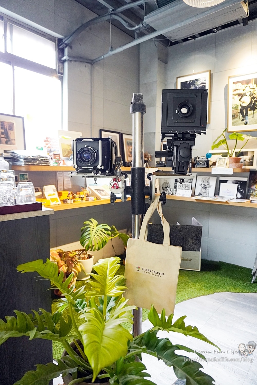 20251027_-142 20251027_-142