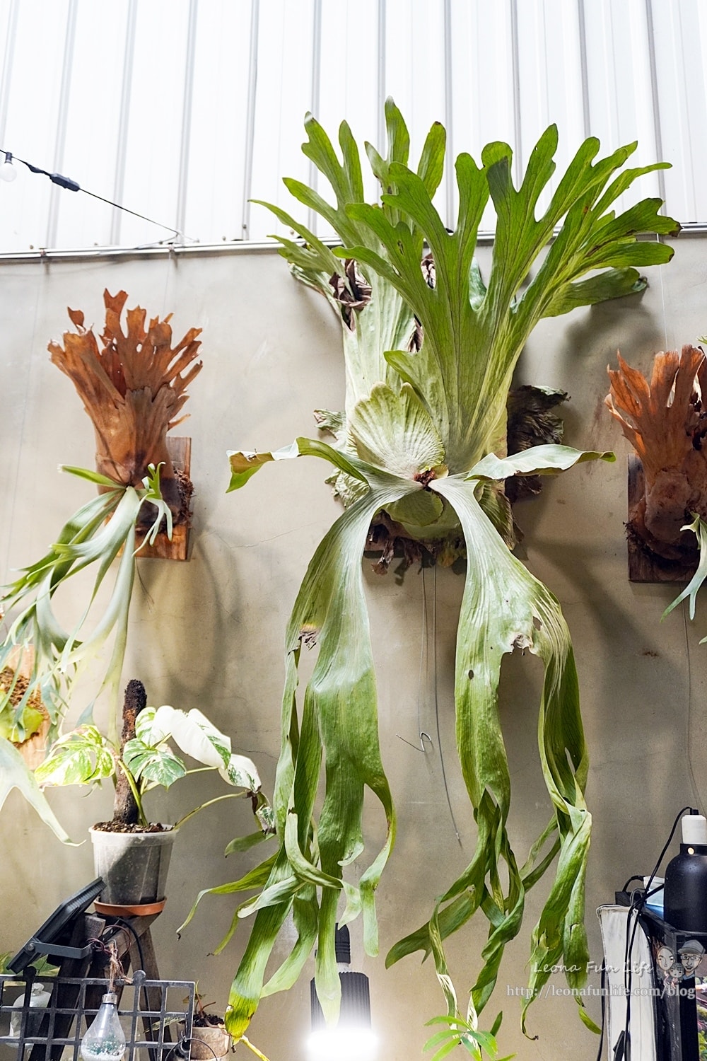 20251027_-152 20251027_-152