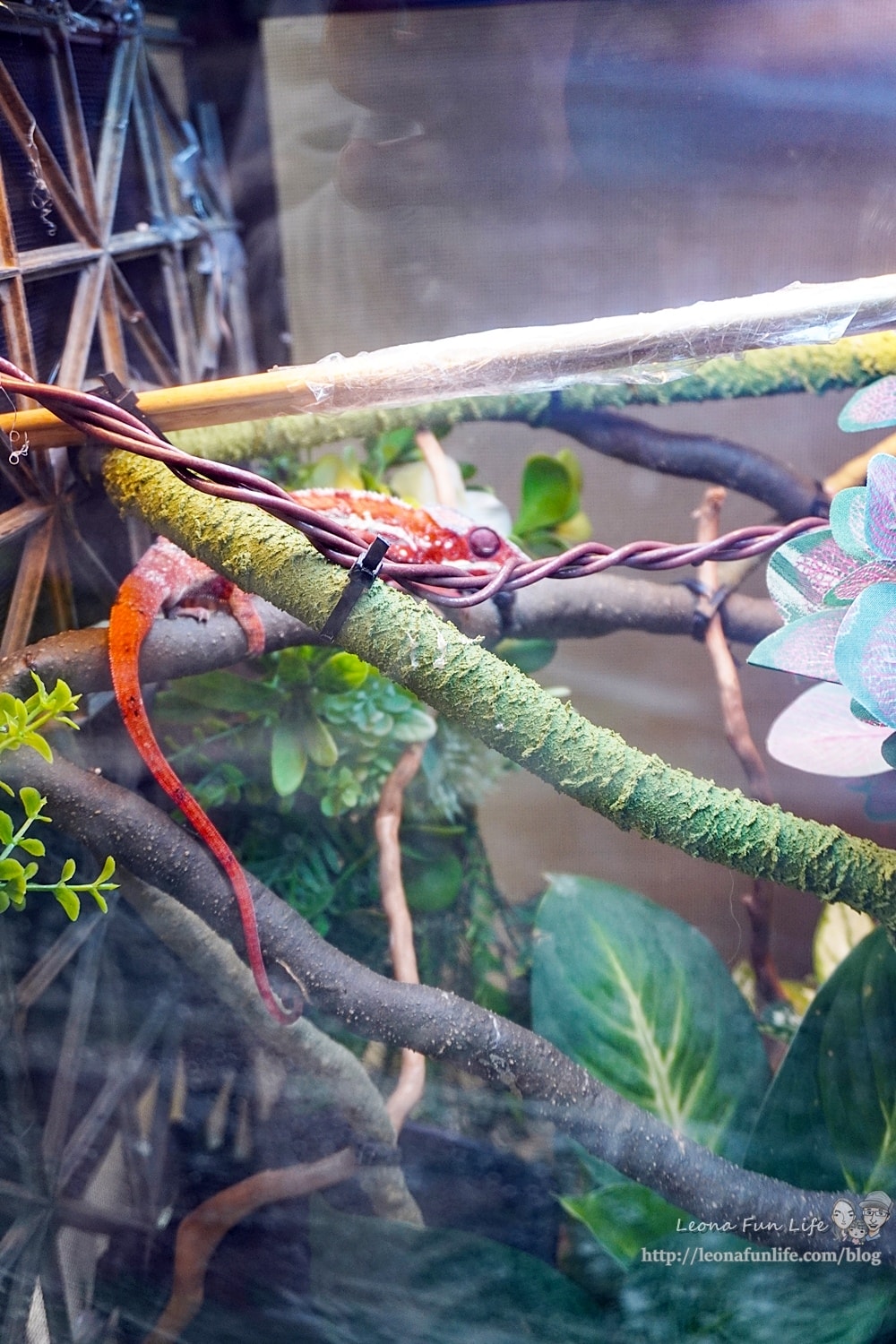 20251027_-153 20251027_-153