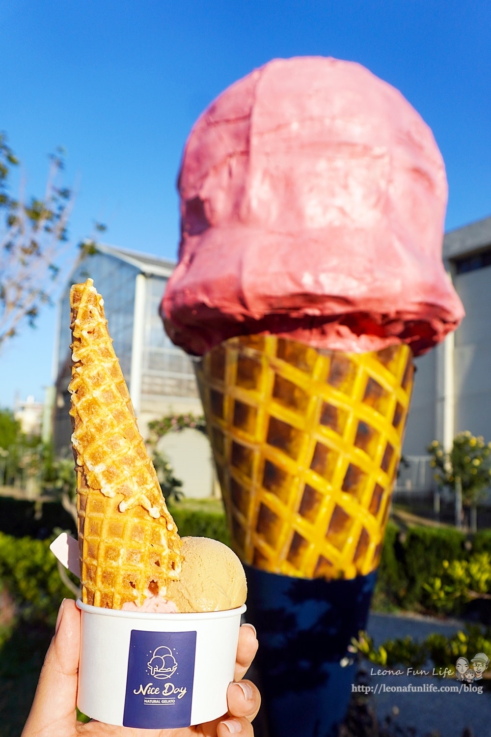 20251027_-322 20251027_-322