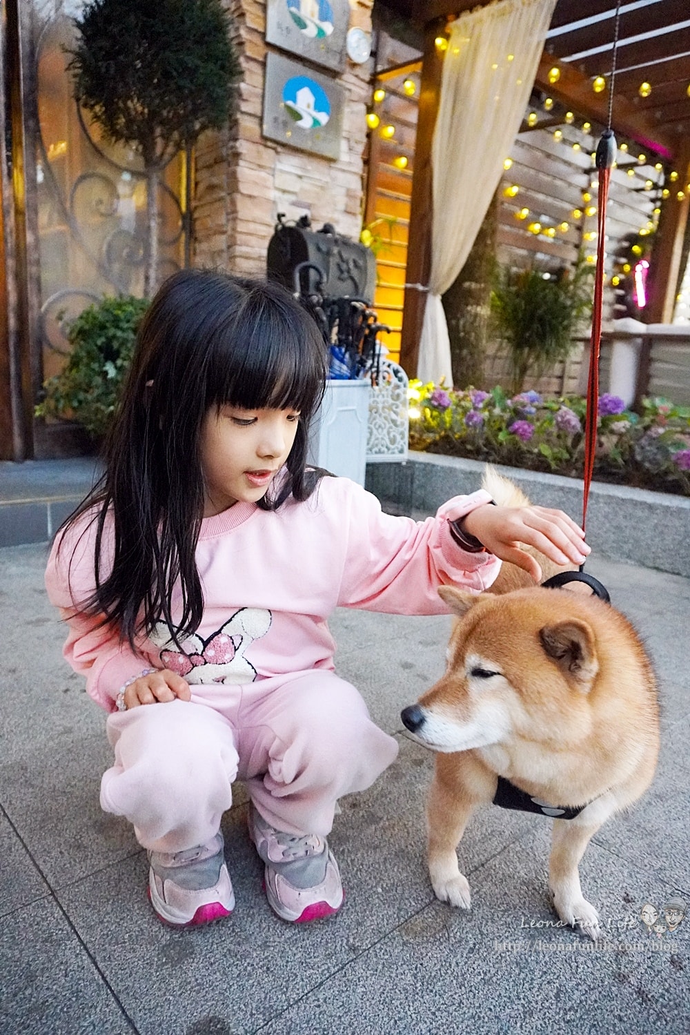 20251027_-35 20251027_-35