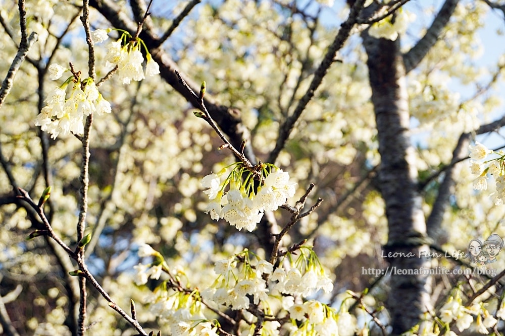 20251027_-36 20251027_-36