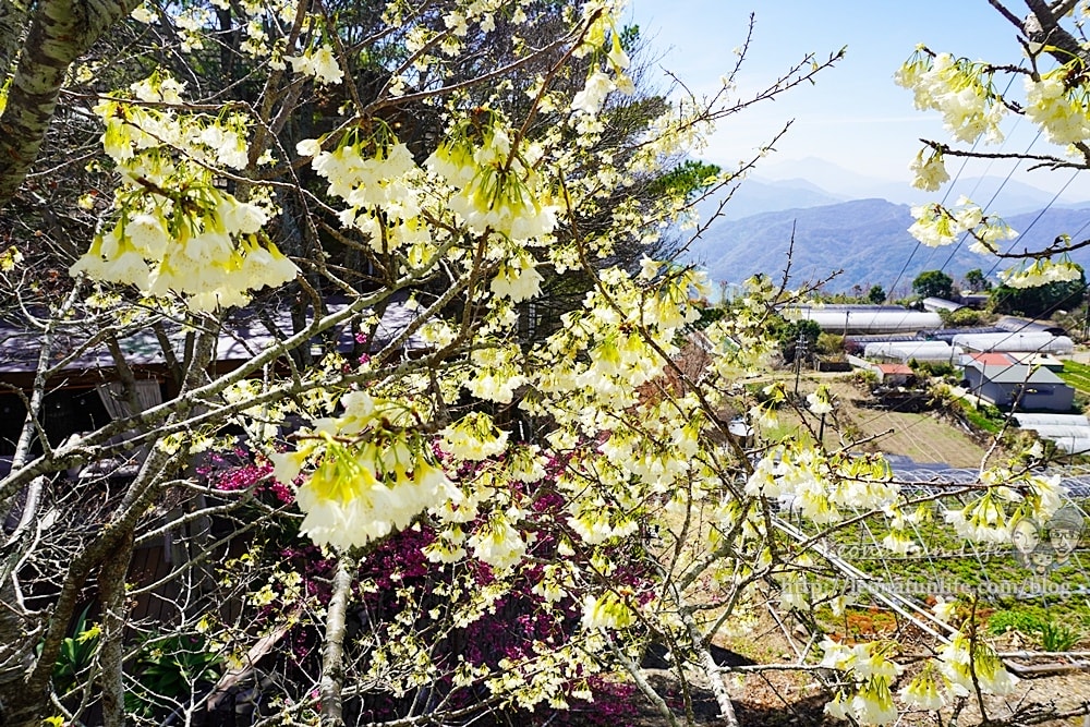 20251027_-37 20251027_-37