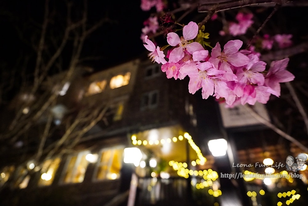 20251027_-40 20251027_-40