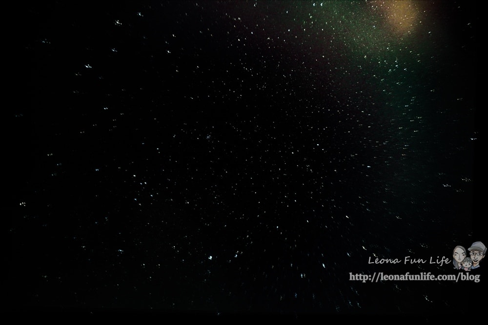 20251027_-44 20251027_-44