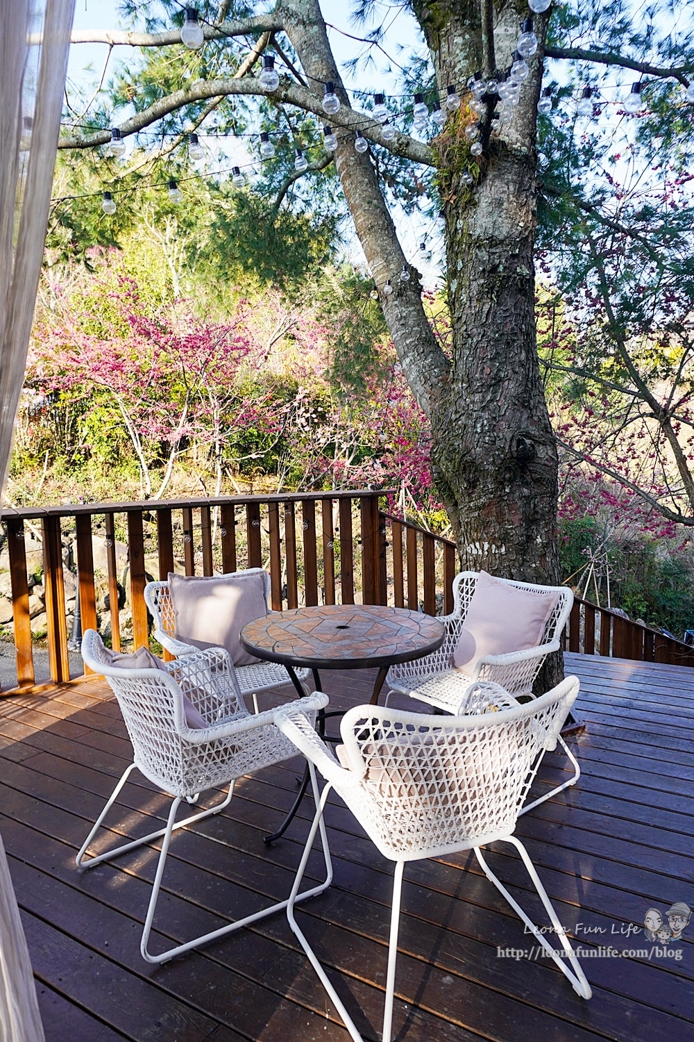 20251027_-6 20251027_-6