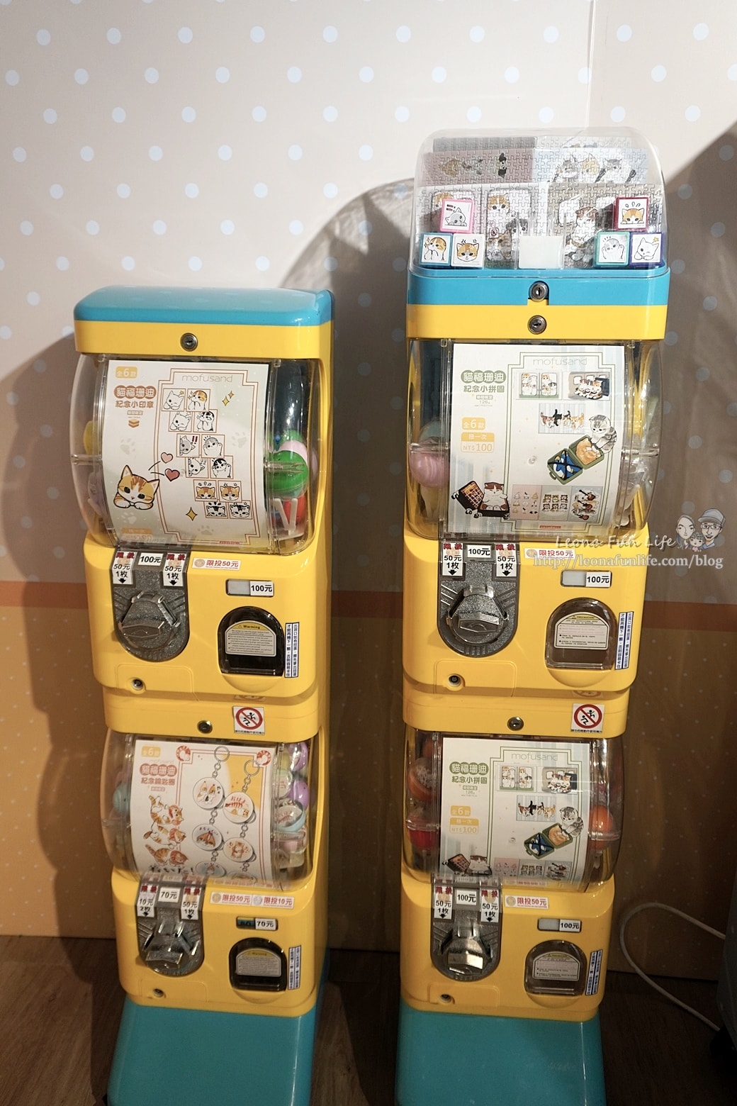 20251027_-146 20251027_-146