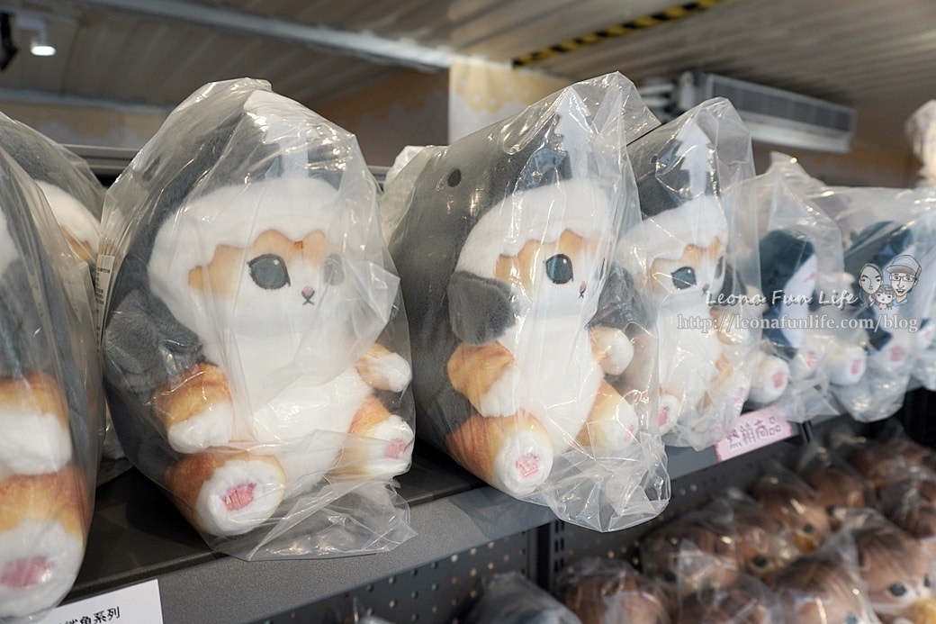 20251027_-167 20251027_-167