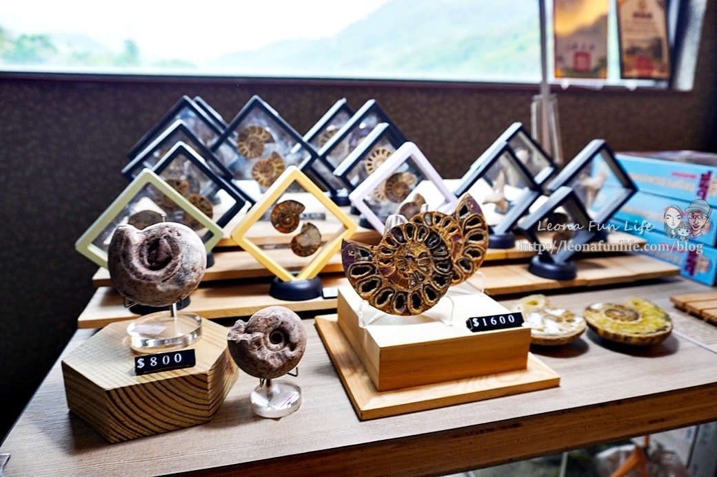 20251027_-11 20251027_-11