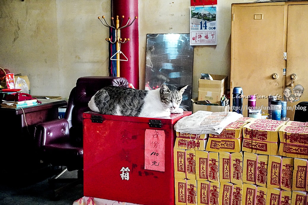 20251027_-249 20251027_-249