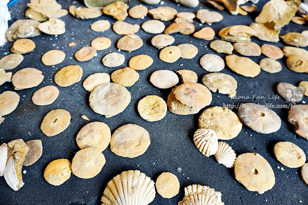 20251027_-31 20251027_-31