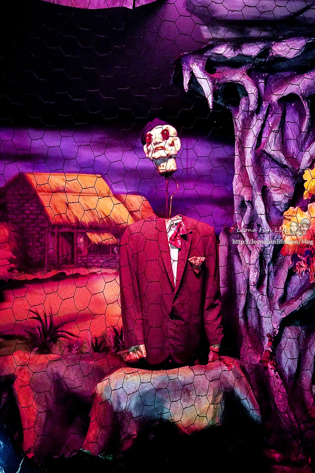 20251027_-549 20251027_-549