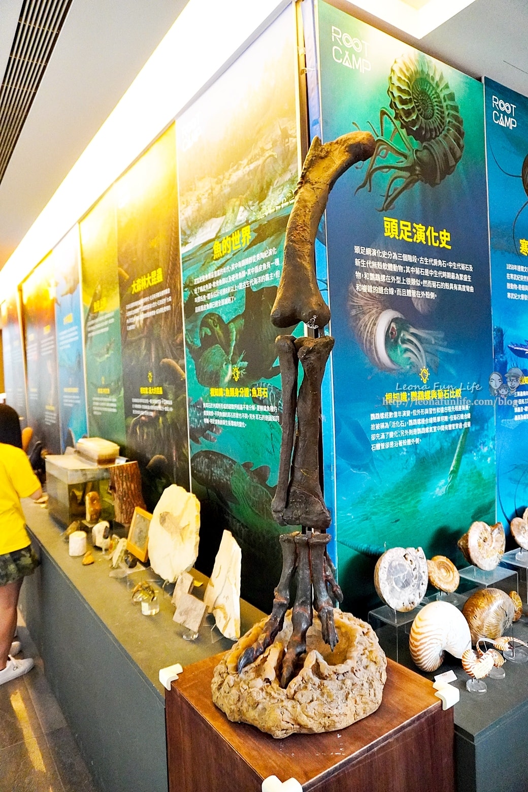 20251027_-7 20251027_-7