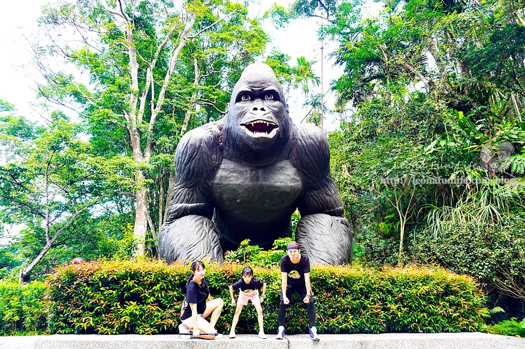 20251027_-123 20251027_-123