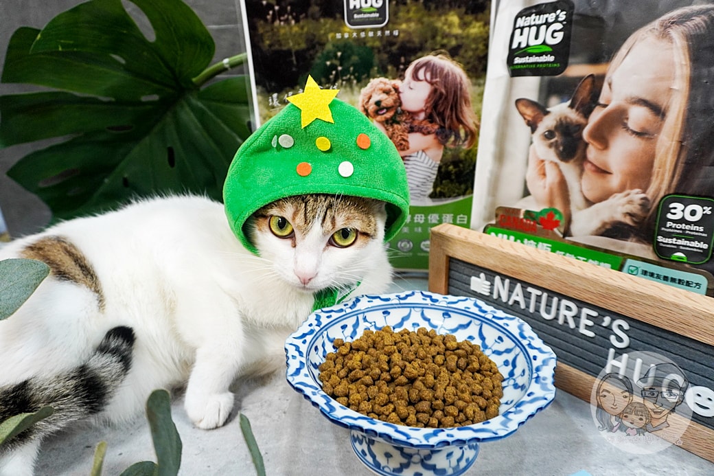 20251027_-167 20251027_-167