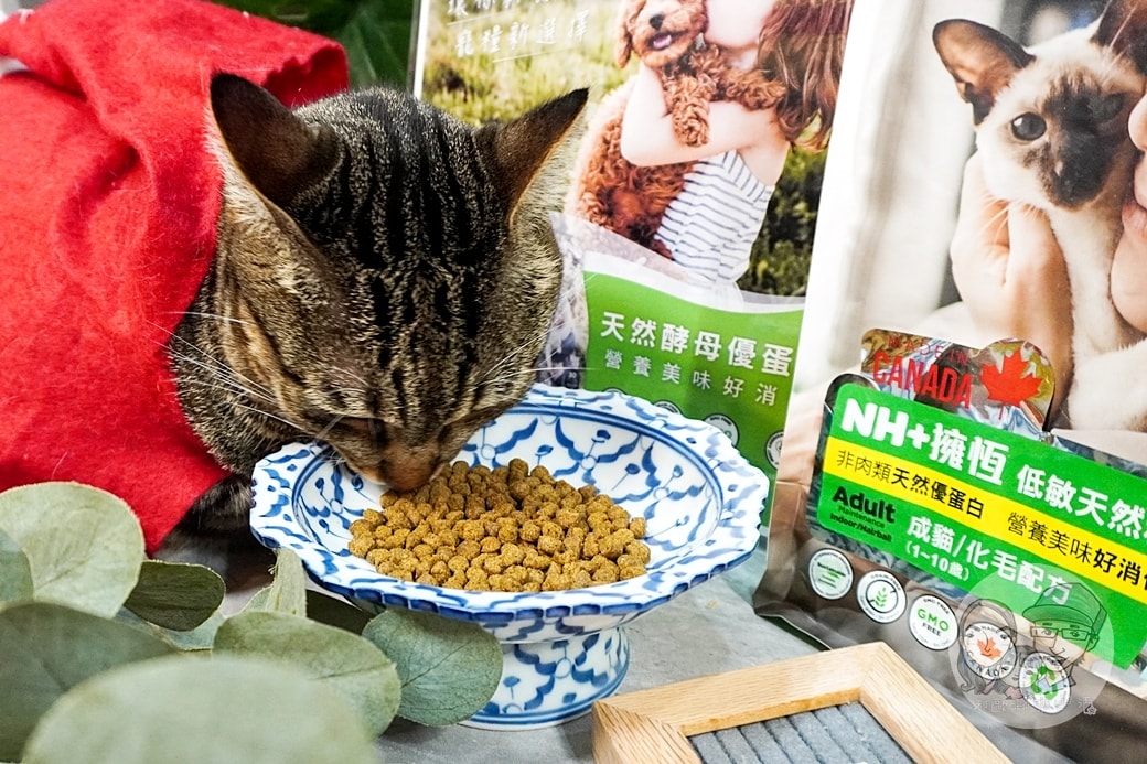 20251027_-168 20251027_-168