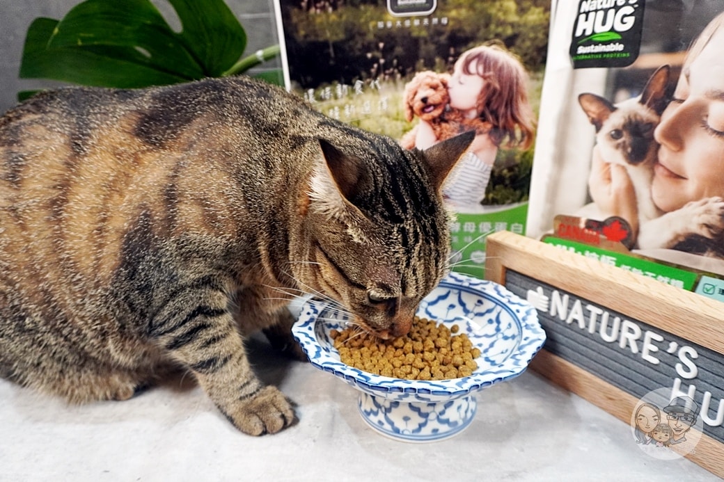 20251027_-169 20251027_-169