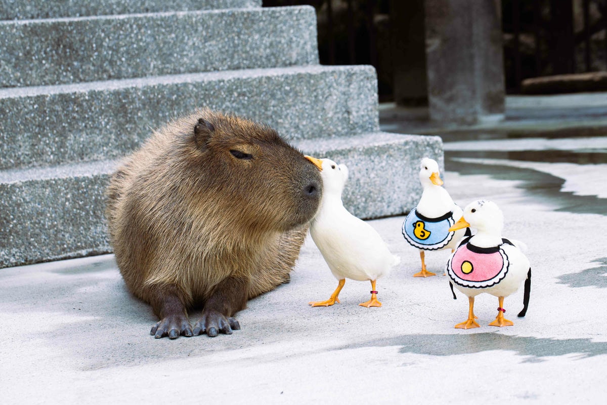 20251027_-275 20251027_-275