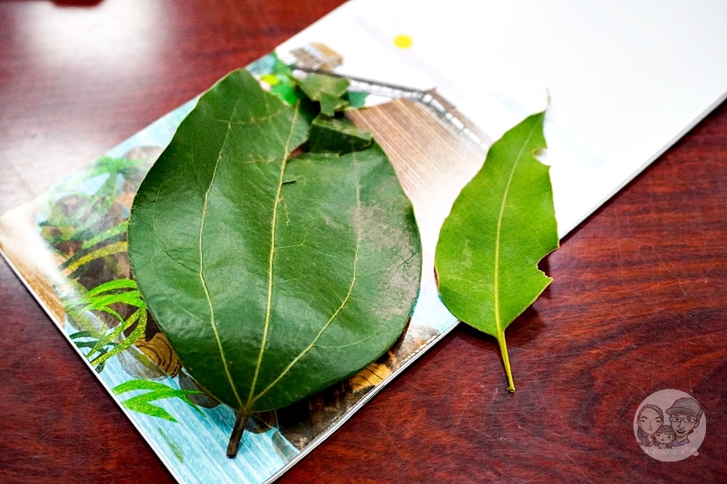 20251027_-177 20251027_-177