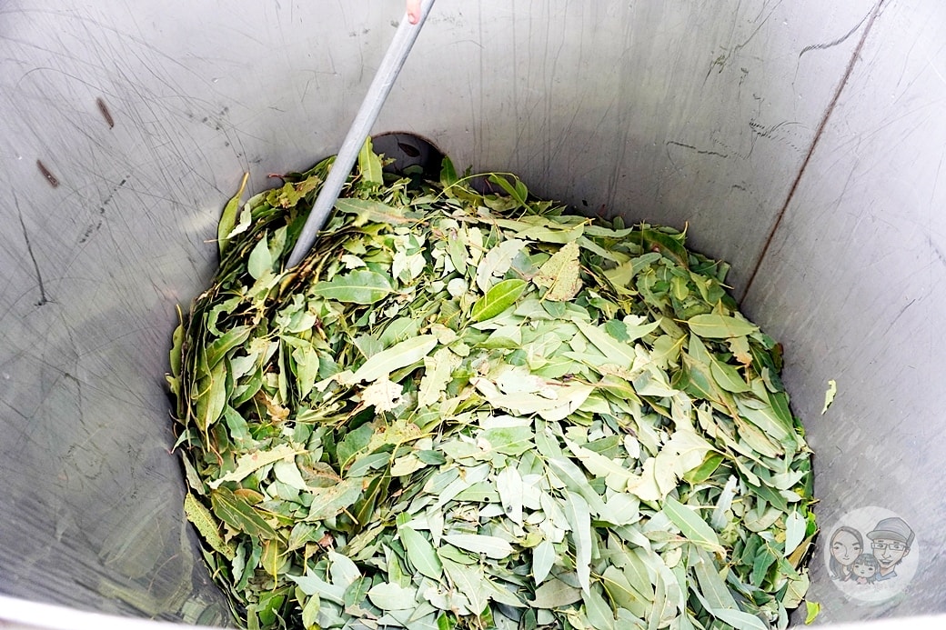 20251027_-183 20251027_-183