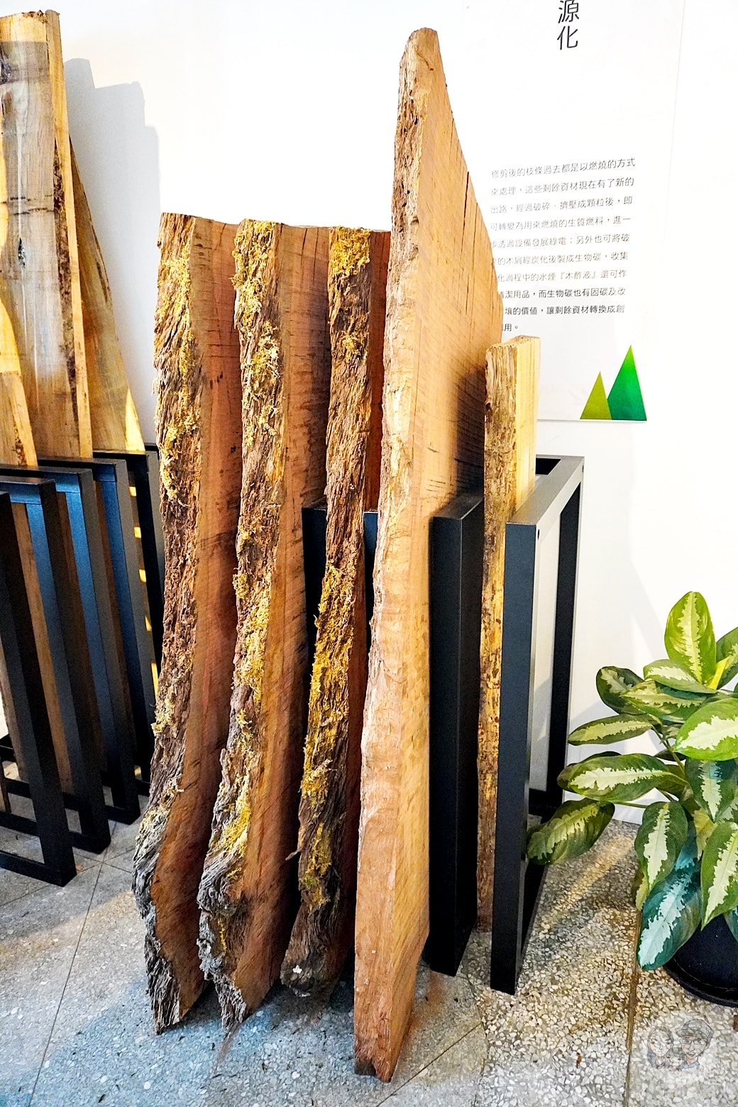 20251027_-189 20251027_-189