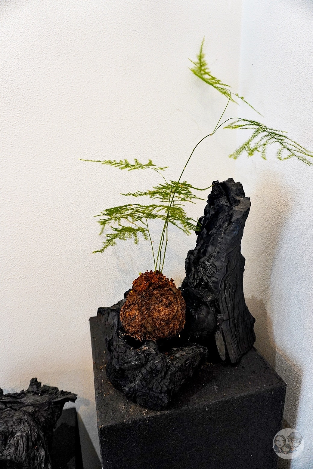 20251027_-191 20251027_-191