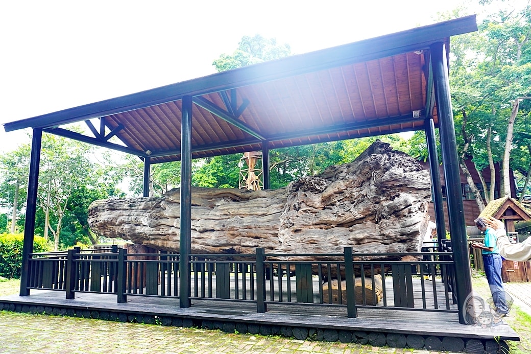 20251027_-200 20251027_-200