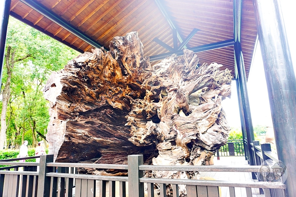 20251027_-201 20251027_-201