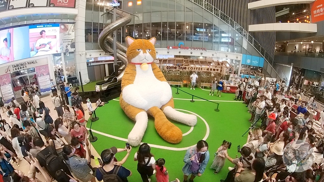 20251027_-212 20251027_-212