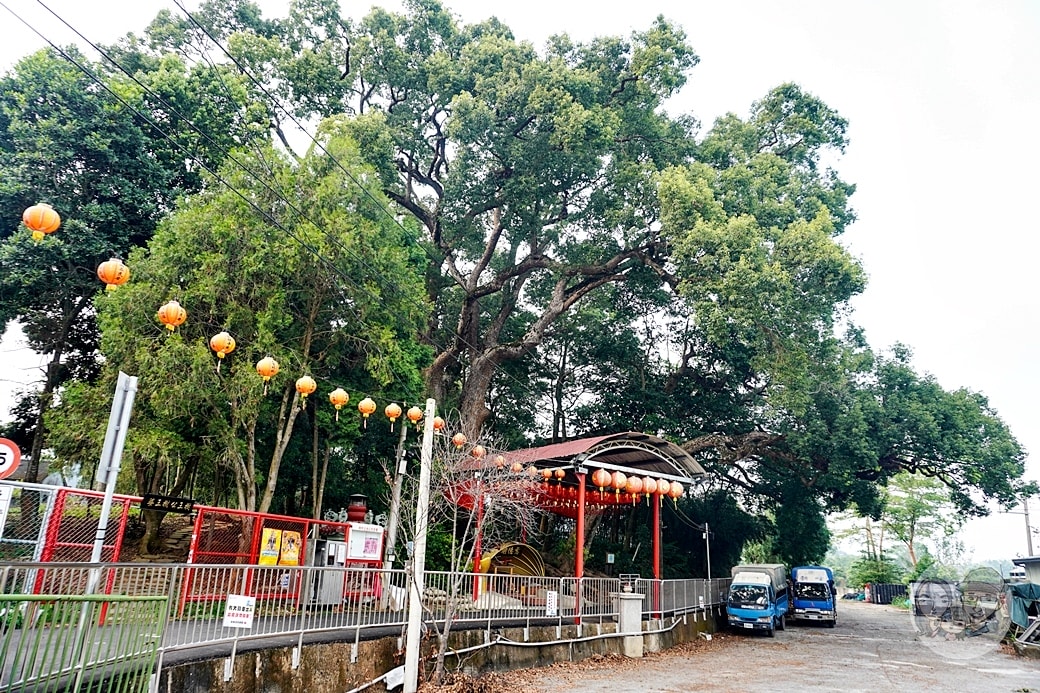 20251027_-480 20251027_-480