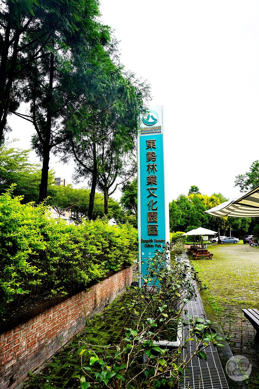 20251027_-626 20251027_-626