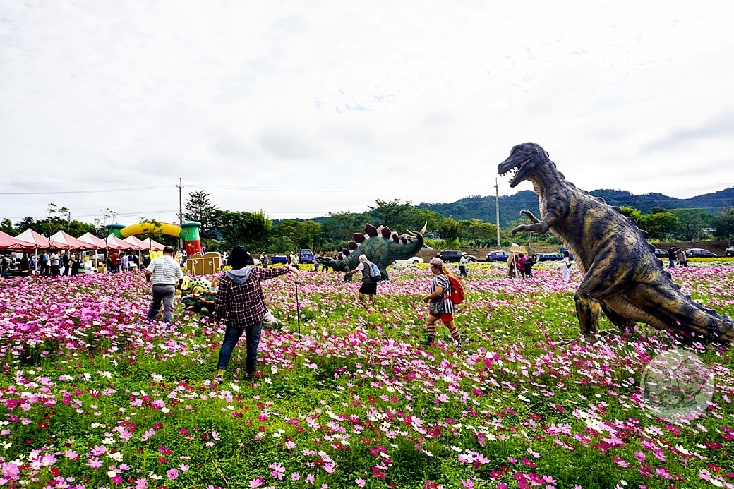 20251027_-251 20251027_-251