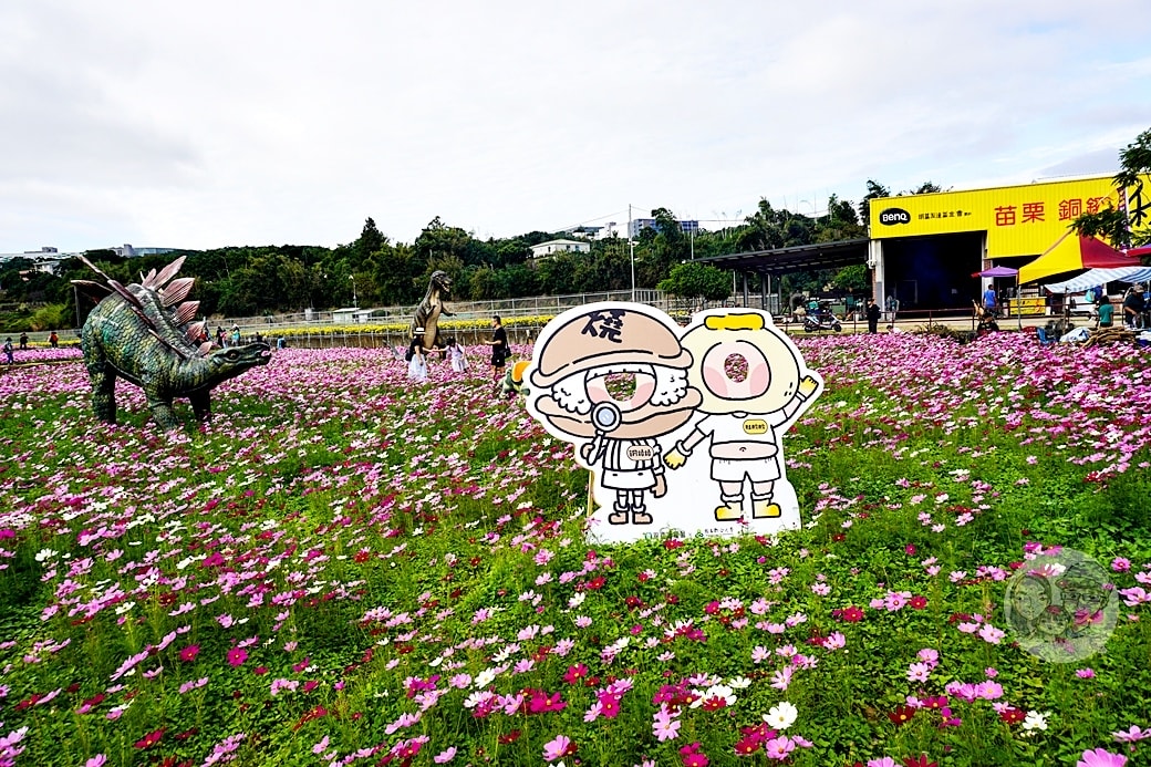 20251027_-255 20251027_-255